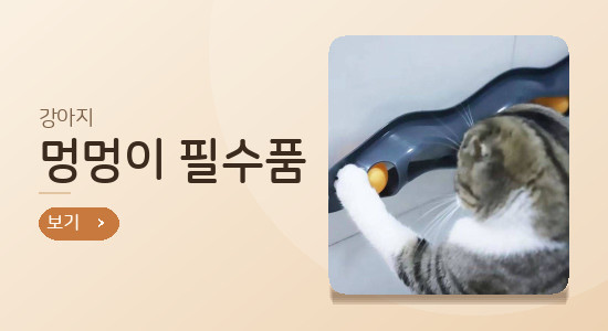 포 배너 1