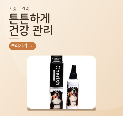 투 배너 1