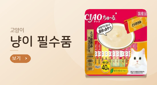 포 배너 2