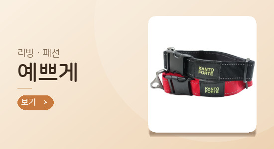 포 배너 4