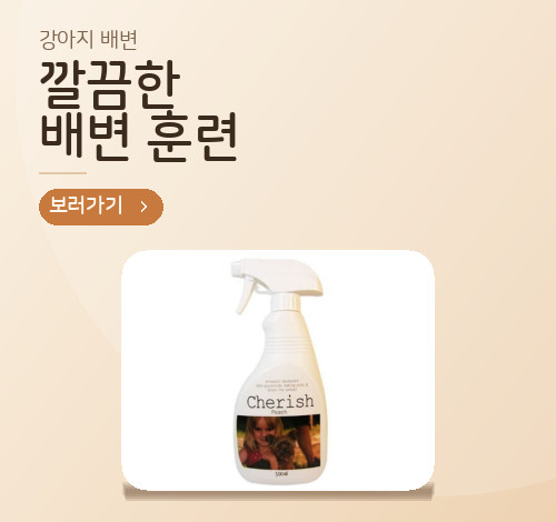 투 배너 1