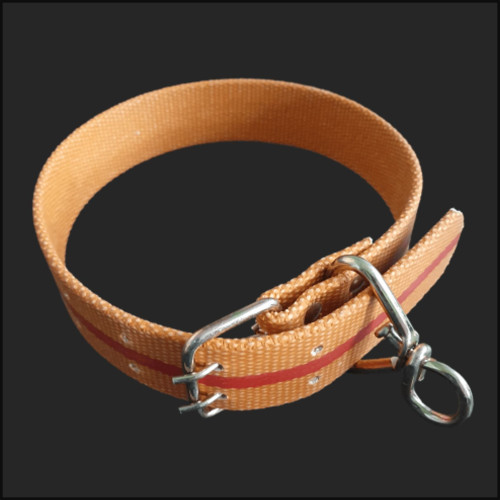 대형견 애견 개줄 소 목줄 밸트삼각 목줄 목걸이 40mm